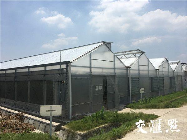 借力物联网，无锡温室大棚变身智能工厂——物联网设备销售新蓝海
